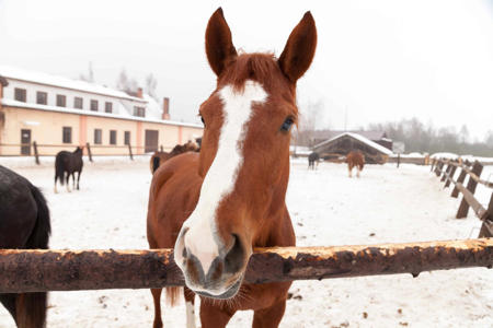 Тур Дудутки - Фото 2