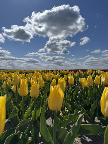 Тур Тышковичи - Фото 1