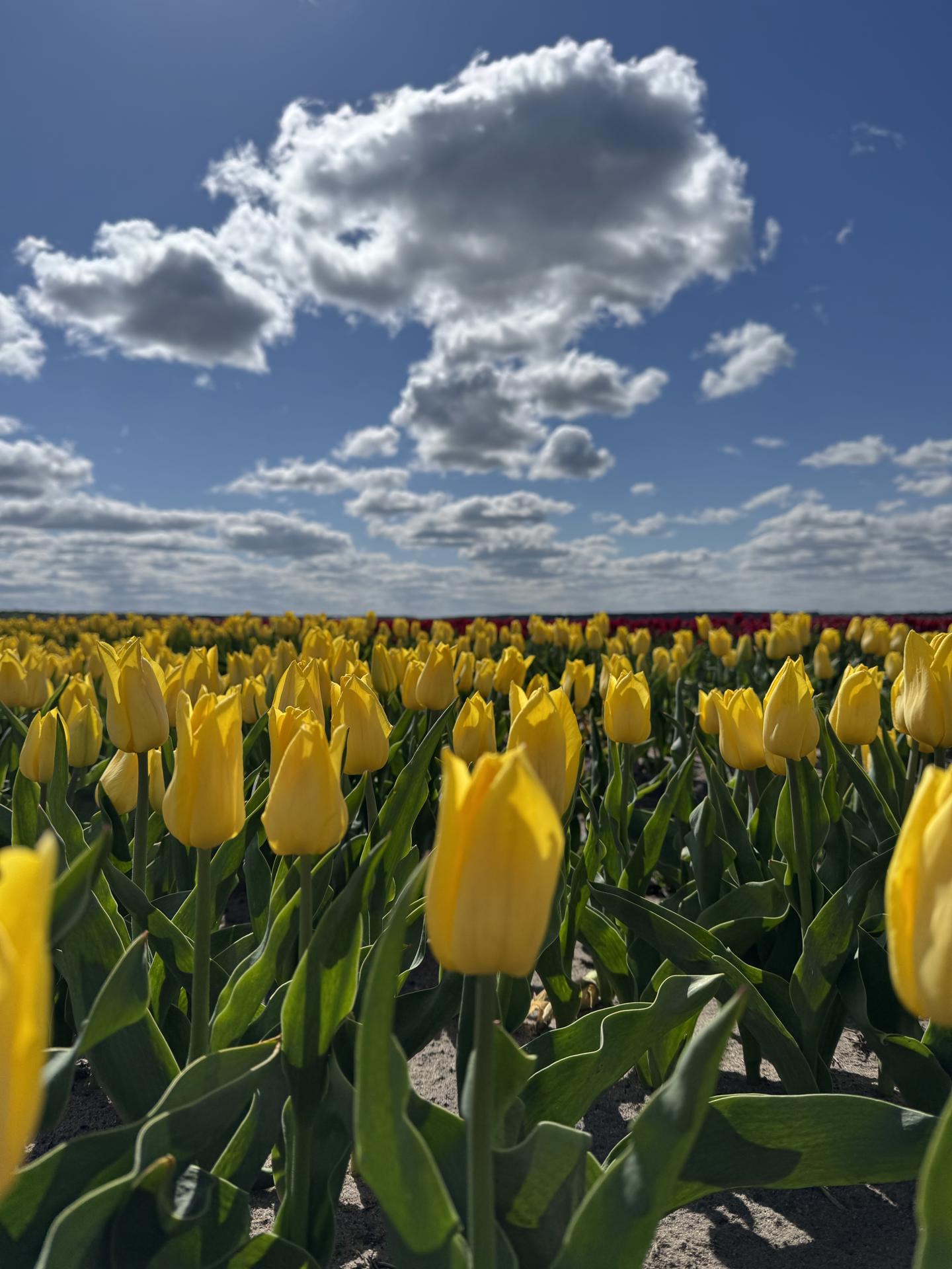 Автобусный тур Тышковичи, выезд из Минскa