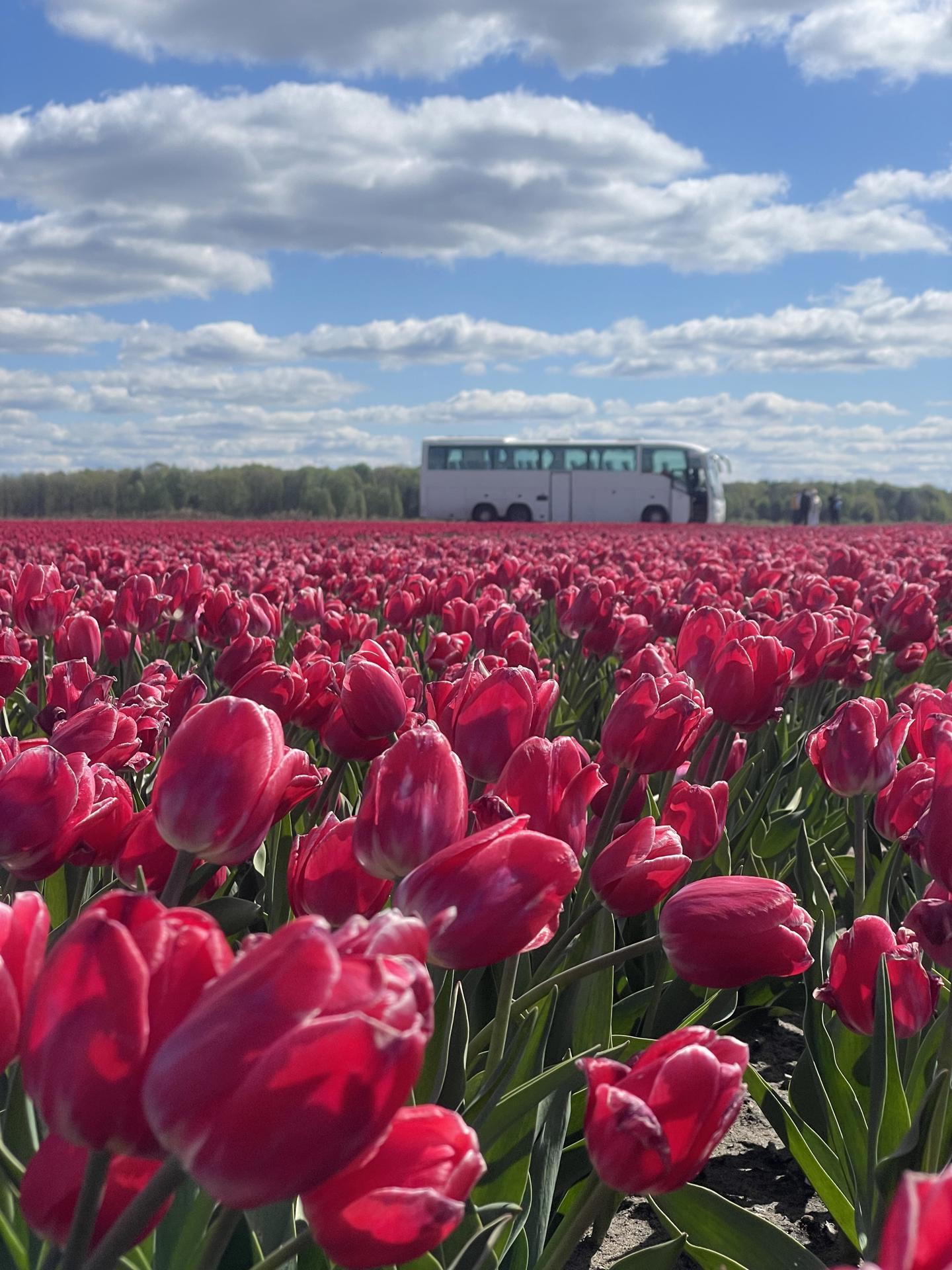Автобусный тур Тышковичи, выезд из Минскa