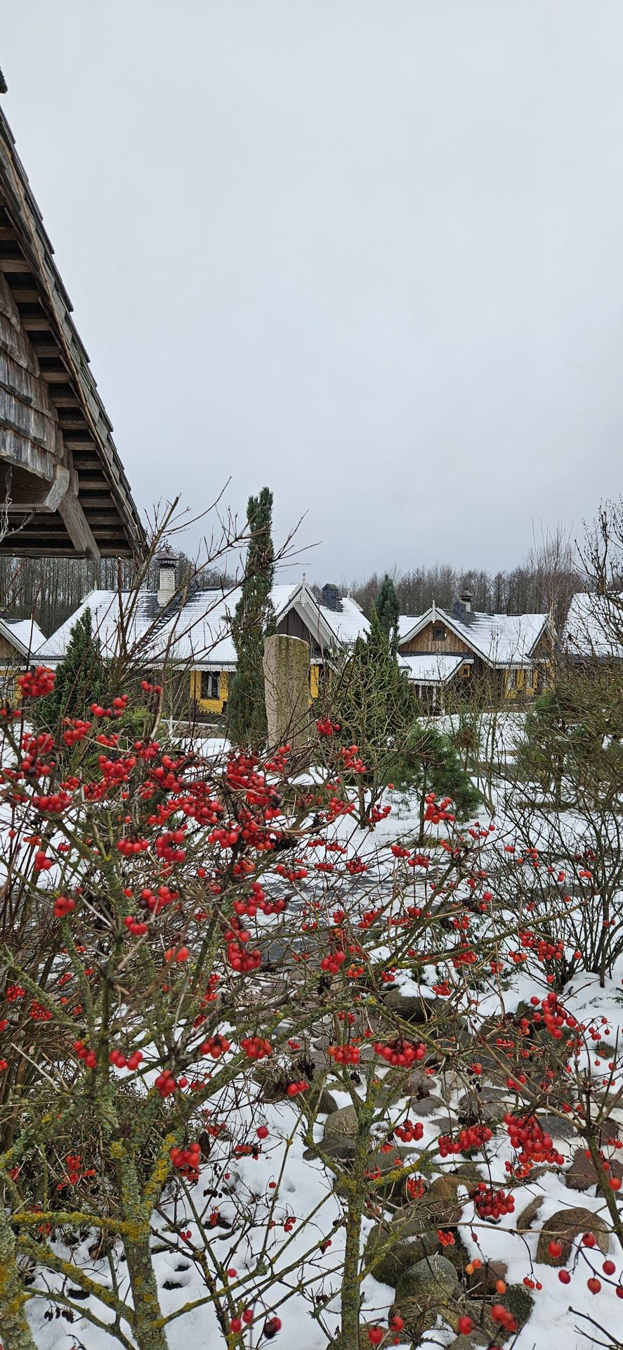 Автобусный тур Наносы - Илово Мядельский р-н - Нарочь, выезд из Минскa