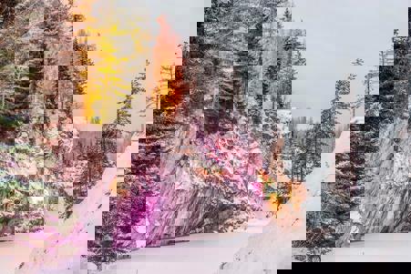 Тур Санкт-Петербург - Приозерск - Сортавала - Рускеала - Царское Село - Фото 2