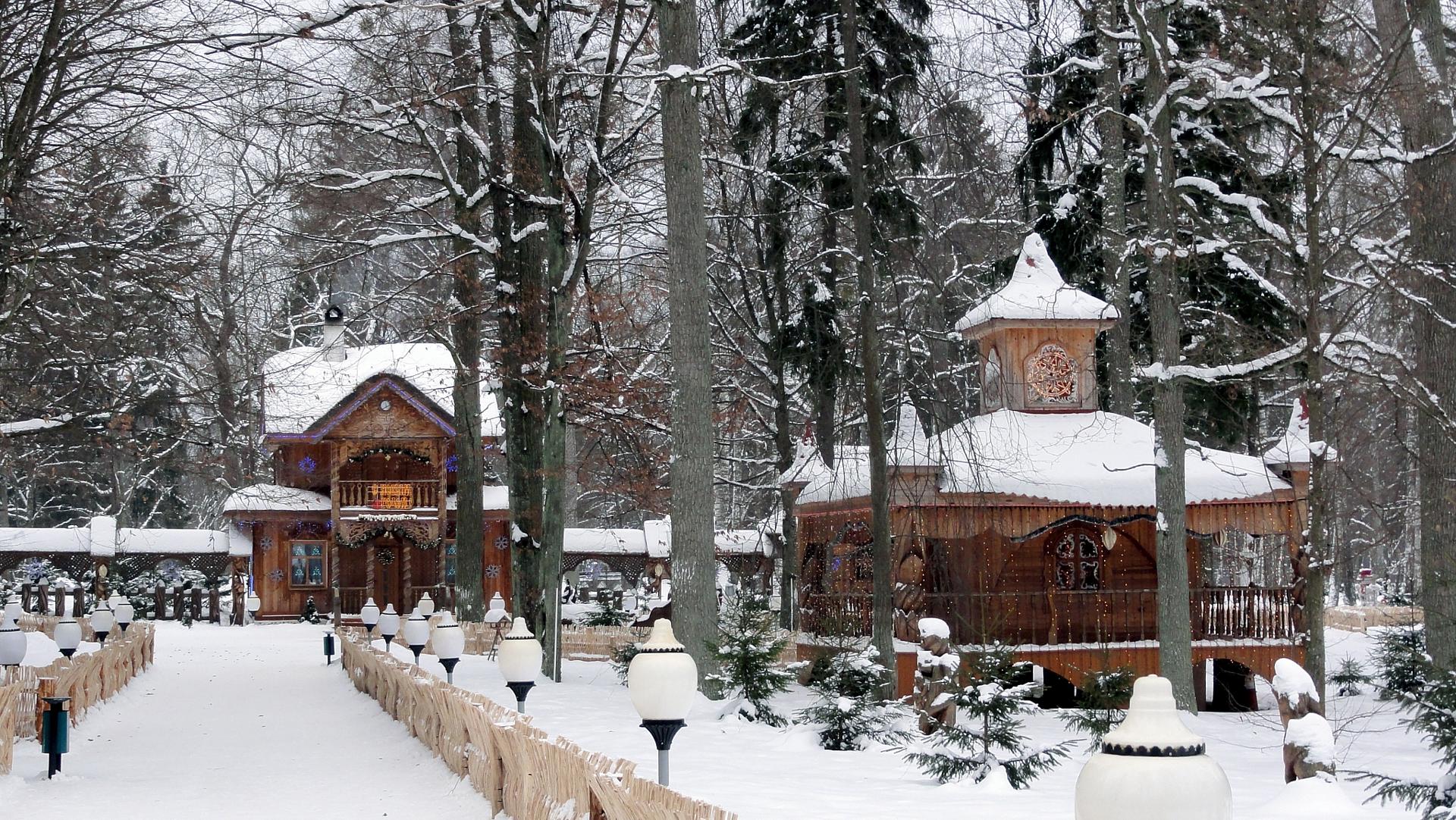 Автобусный тур Брест - Скоки - Беловежская пуща, выезд из Гомеля, Могилевa