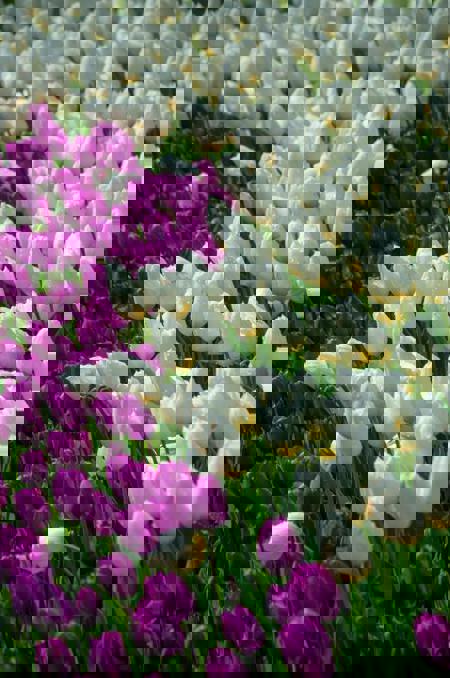 Тур Тышковичи - Коссово - Фото 3