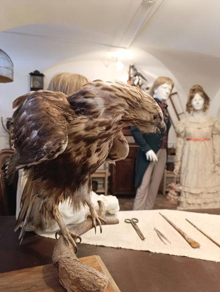 Тур Поставы - Нарочь - Фото 2