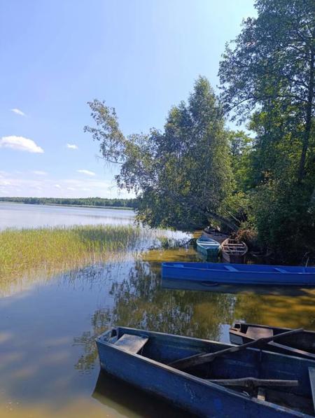 Тур заказник Выгонощанский - Фото 2