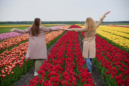 Тур Тышковичи - Краски - Фото 2