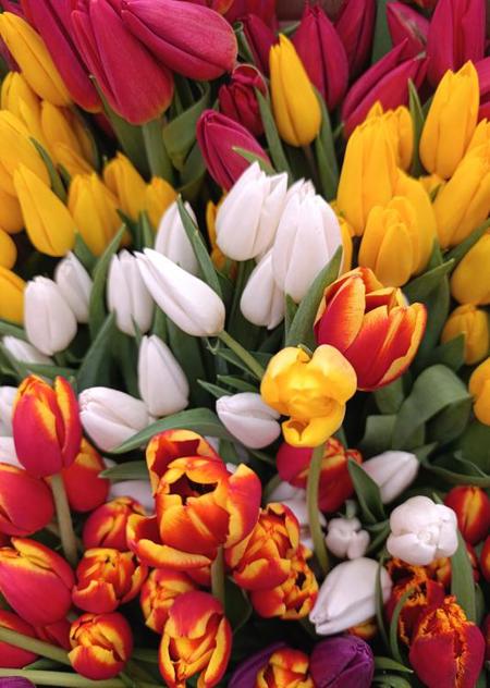 Тур Коссово - Тышковичи - Фото 2