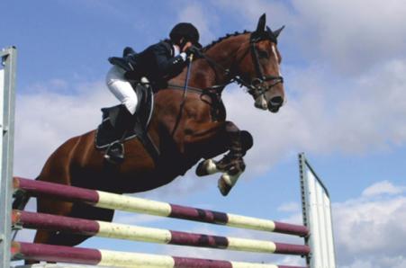 Тур Лида - Дворище - Фото 3 выступления по конкуру от конно-спортивной школы