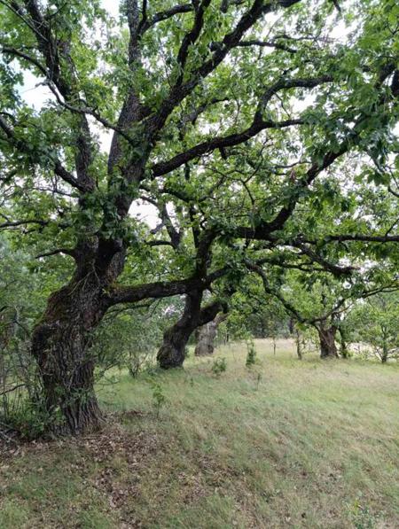 Тур заказник Выгонощанский - Фото 4
