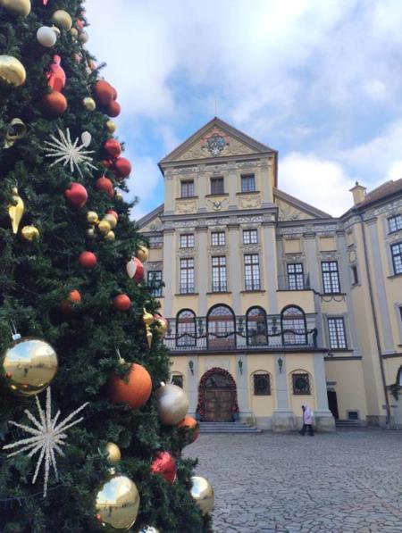 Тур Несвиж - Фото 1 экскурсия в Несвижском замке с элементами театрализации