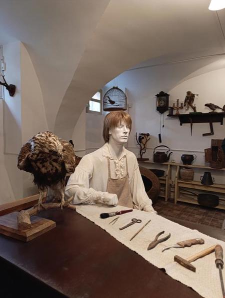 Тур Поставы - Нарочь - Фото 3 экскурсия во дворце Тызенгаузов