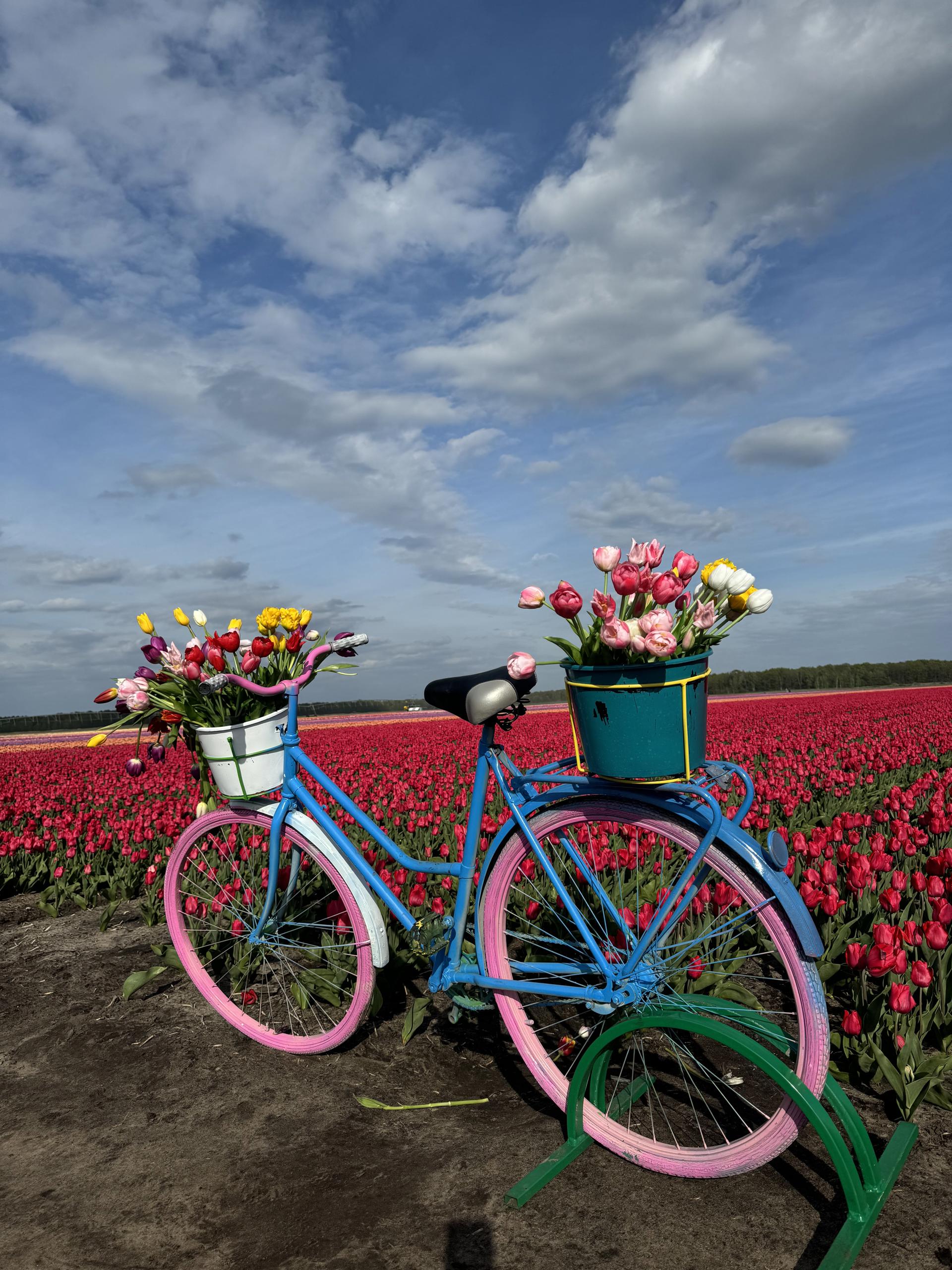 Автобусный тур Коссово - Тышковичи, выезд из Минскa