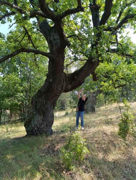 Тур заказник Выгонощанский - Фото 1