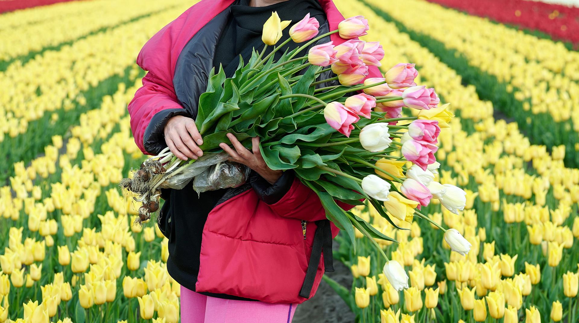 Автобусный тур Пинск - Тышковичи, выезд из Минскa