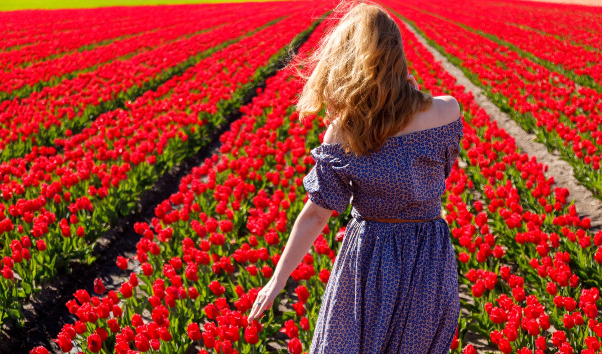 Автобусный тур Пинск - Тышковичи, выезд из Брестa