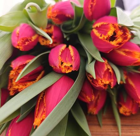 Тур Коссово - Тышковичи - Фото 1