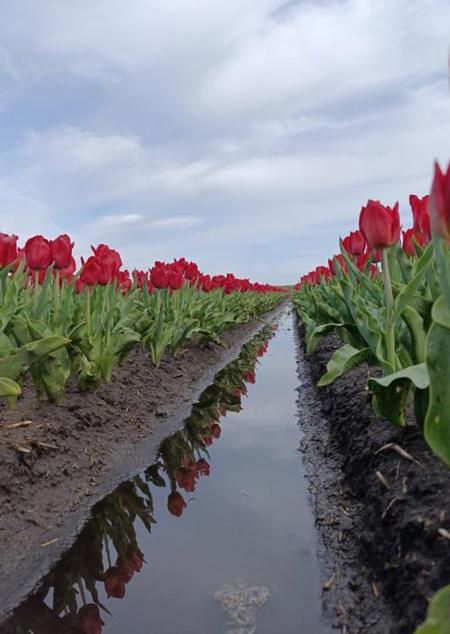 Тур Вороцевичи - Тышковичи - Фото 2