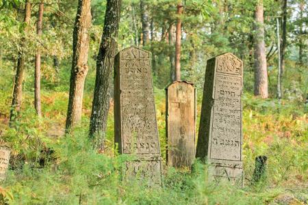 Тур Лунинец - Микашевичи - Ленин - Фото 4