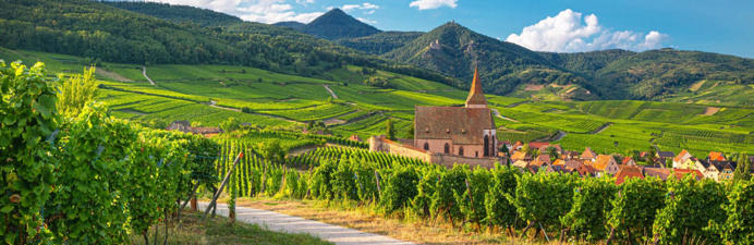 Тур Страсбург - Кольмар - замок Верхний Кенигсбург - Риквир - Фото 6