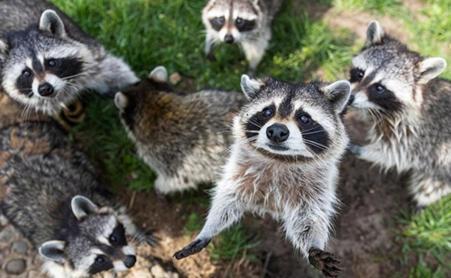 Тур Барановичи - Коссово - Ружаны - Фото 2