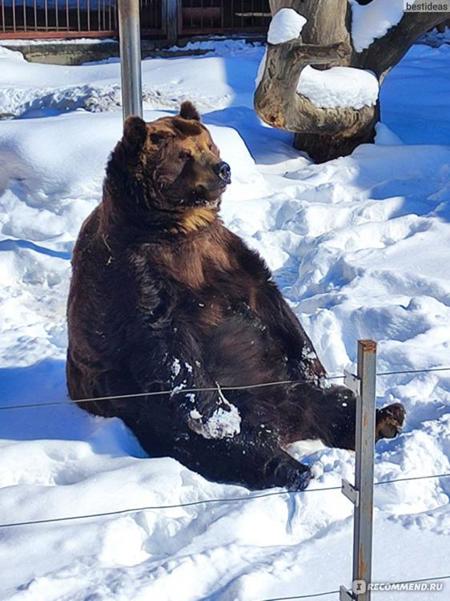 Тур Домбай - Теберда - Тебердинский заповедник  - Фото 7