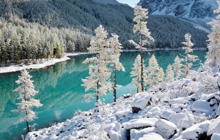 Тур Домбай - Теберда - Тебердинский заповедник  - Фото 6