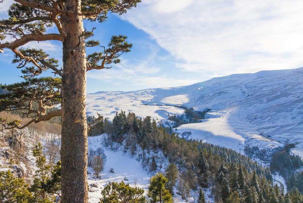 Автобусный тур Майкоп, выезд из Минскa, Бобруйскa, Гомеля