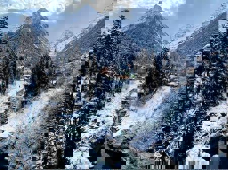 Тур Домбай - Теберда - Тебердинский заповедник  - Фото 5