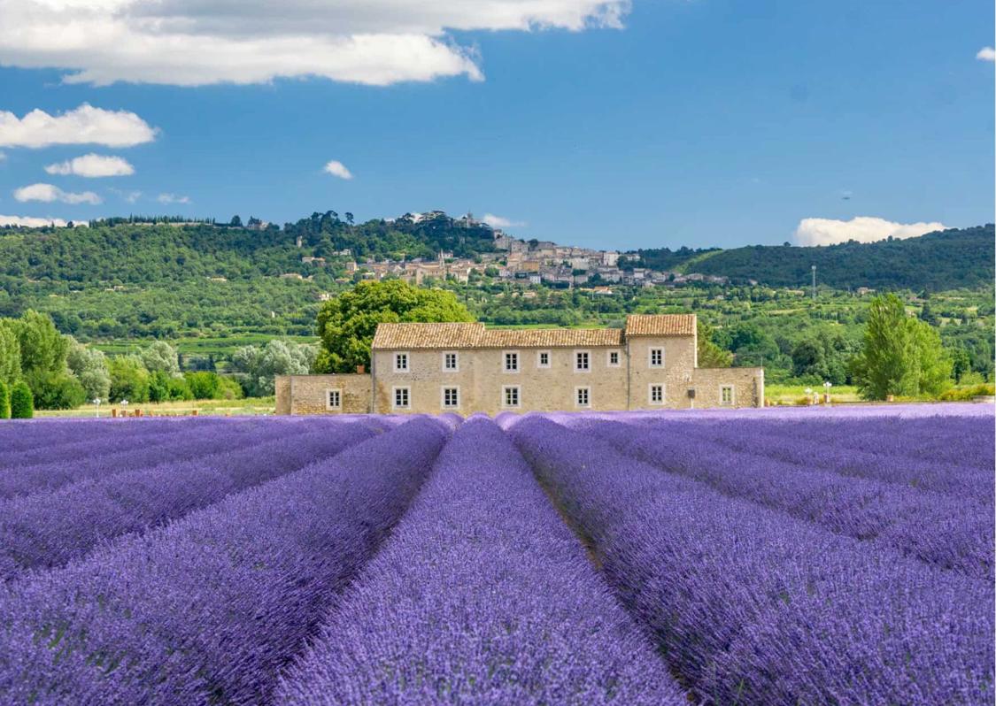 Автобусный тур Дрезден - Страсбург - Риквир* - Лион - Божоле - Валенсоль - Мутье-Сент-Мари - Марсель* - Экс-ан-Прованс* - Канны* - Антиб* - Сен-Поль-де-Ванс* - Генуя - Мюнхен, выезд из Минскa