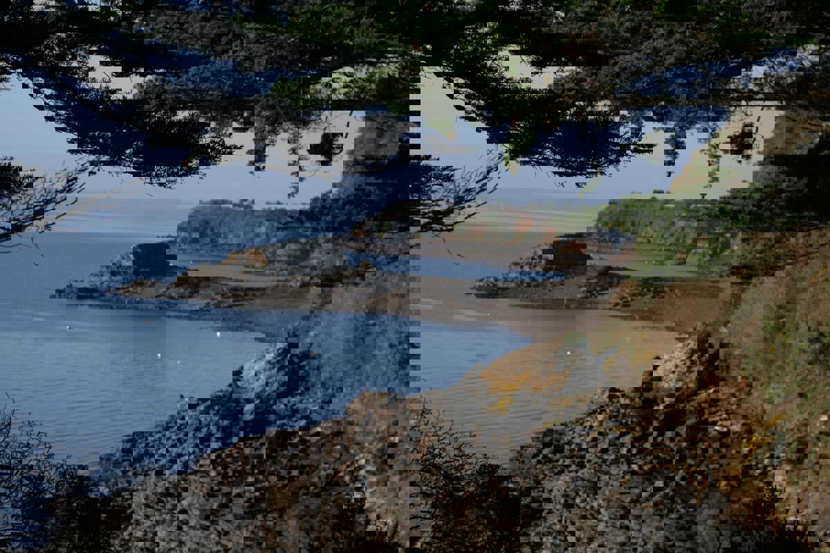 Тур Ренн - Сен-Мало - Динан - Трегье  - Кемпер - Ванн, выезд из Минскa