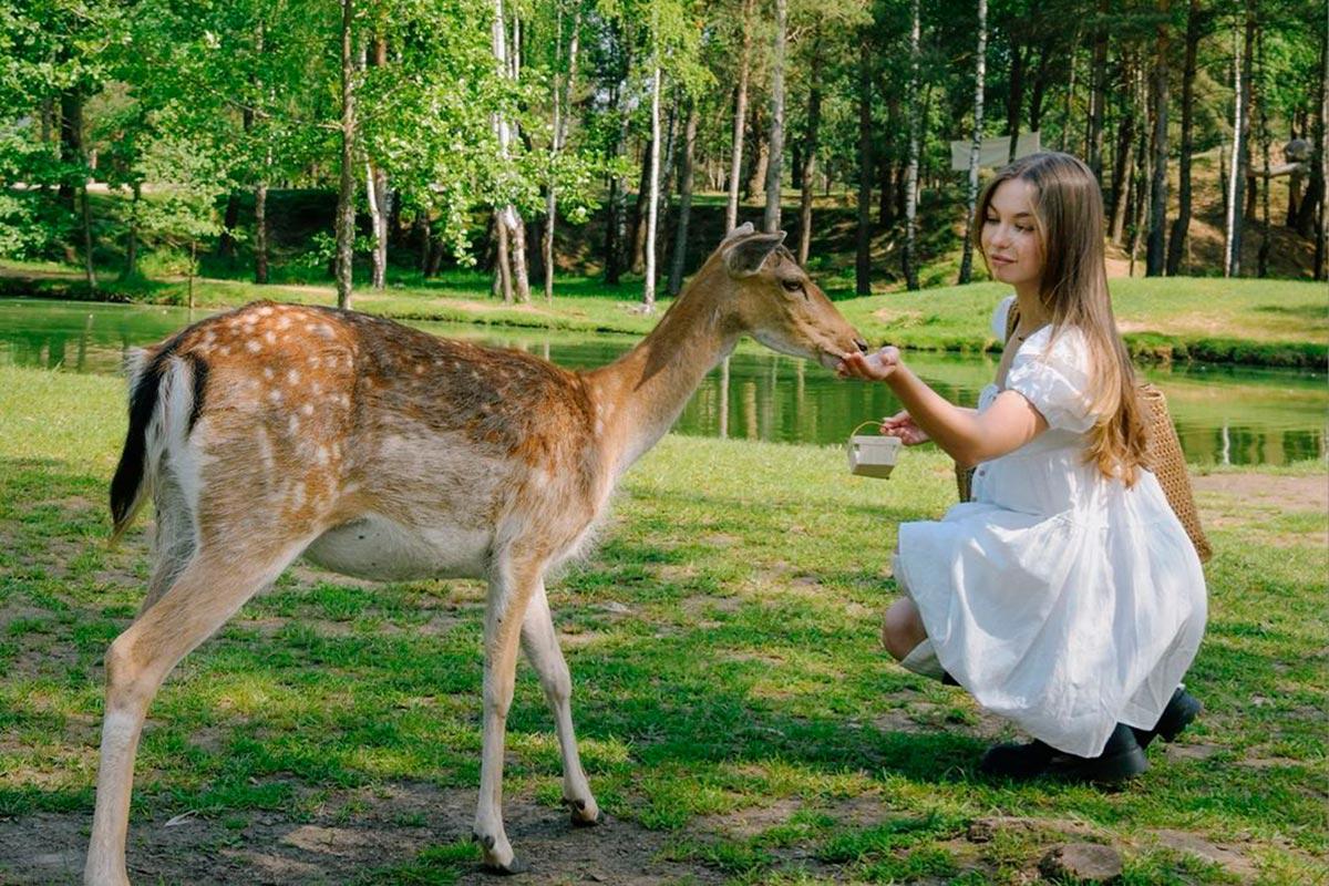 Автобусный тур Коссово - Ружаны - Барановичи, выезд из Гомеля