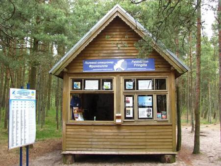 Тур Калининград - Янтарный - Светлогорск - Некрасово Калининградская обл. - Балтийск - Зеленоградск - Фото 11 Орнитологическая станция «Фрингилла»