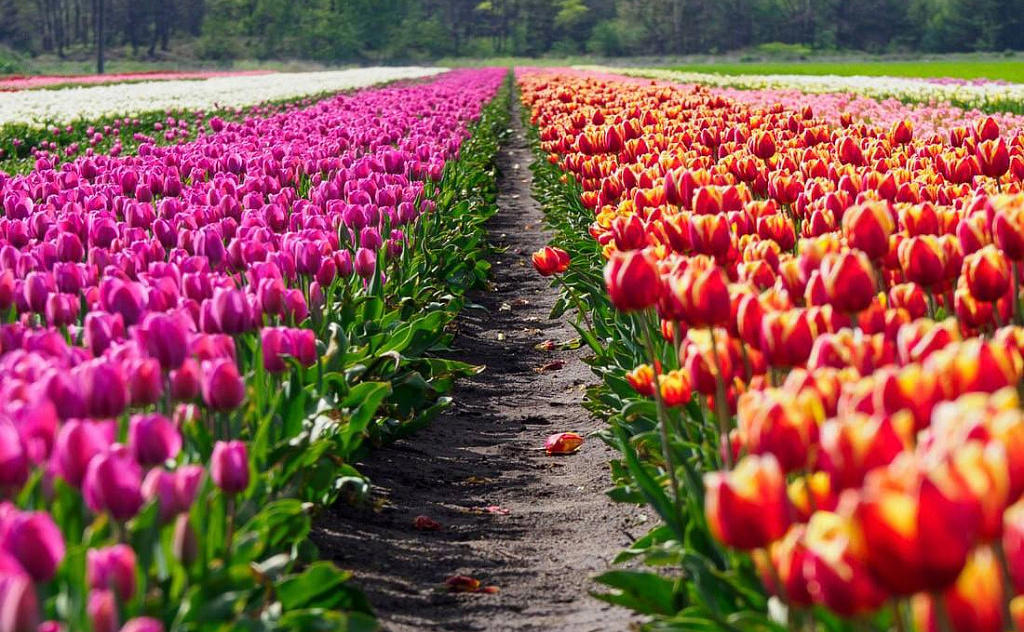 Автобусный тур Тышковичи, выезд из Брестa