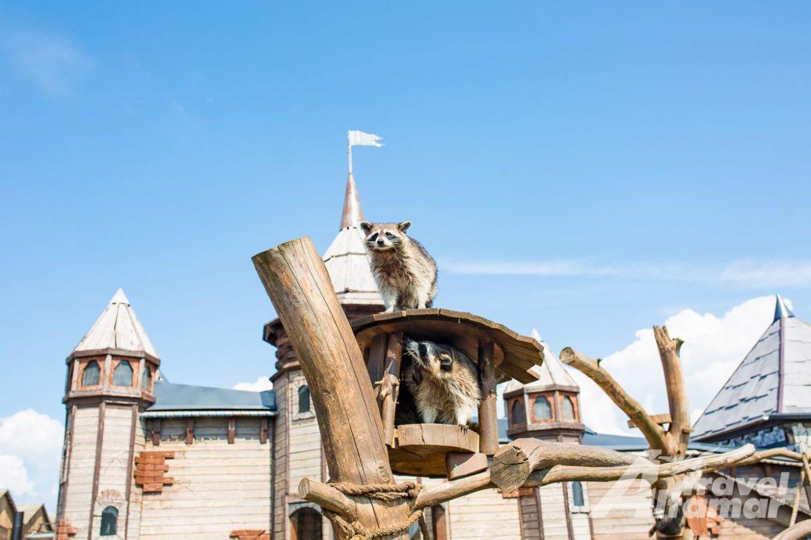 Автобусный тур Барановичи, выезд из Брестa