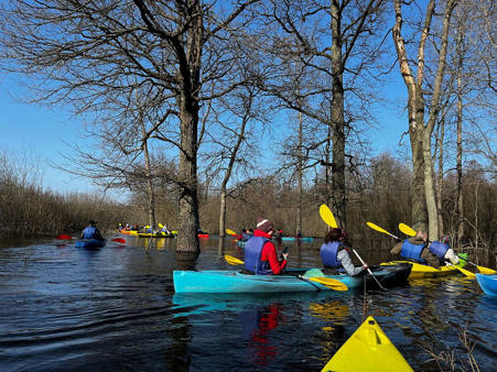 Тур национальный парк Припятский - Пинск - Мотоль - Фото 4
