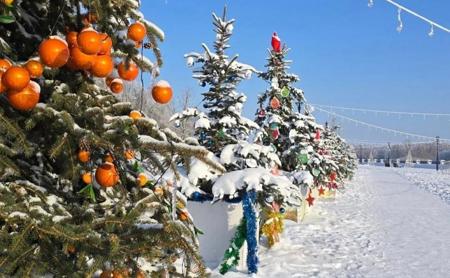 Тур Гомель - Жиличи - Ветка - Фото 6