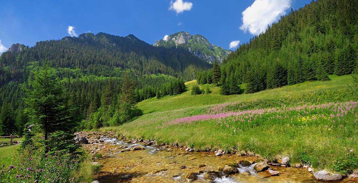 Автобусный тур Закопане - оз. Морске-Око - Буковина-Татшаньская - Врбов, выезд из Минскa
