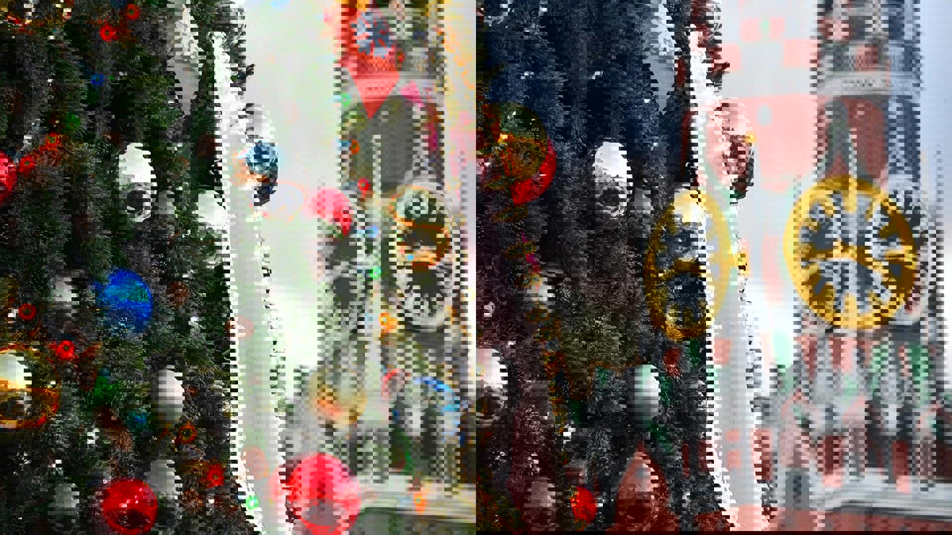 Тур Москва, выезд из Гомеля, Могилевa, Витебскa