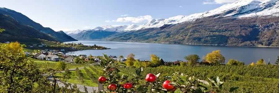 Автобусный тур Рига* - Таллин - Стокгольм - Согне-фьорд - Берген - Хардангер-фьорд - Осло, выезд из Минскa