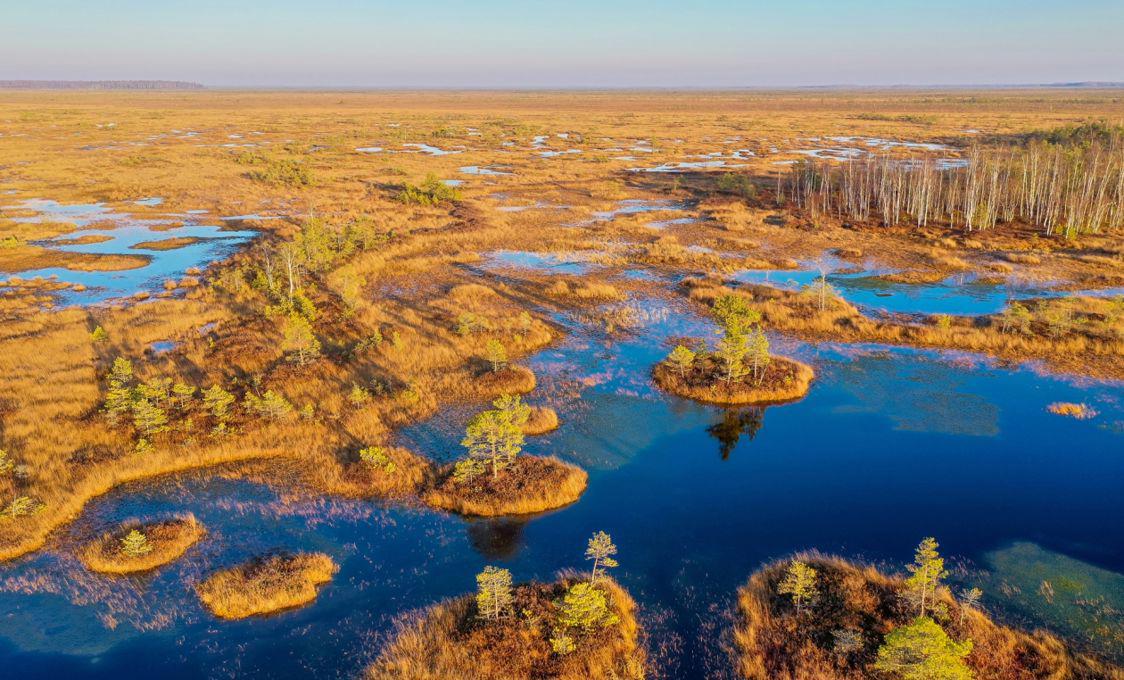 Автобусный тур Миоры - Ельня, выезд из Минскa