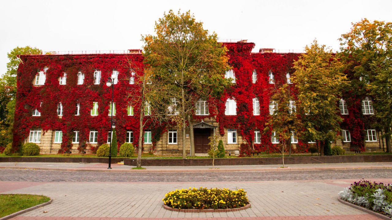 Автобусный тур Субботники - Гродно, выезд из Минскa