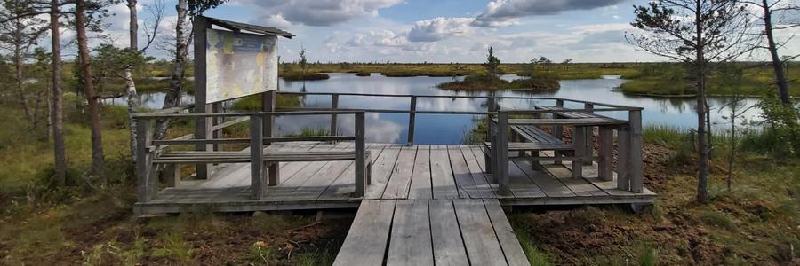 Автобусный тур Ельня - Германовичи, выезд из Гродно