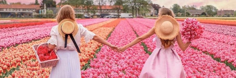 Автобусный тур Тышковичи - Высокое, выезд из Гродно