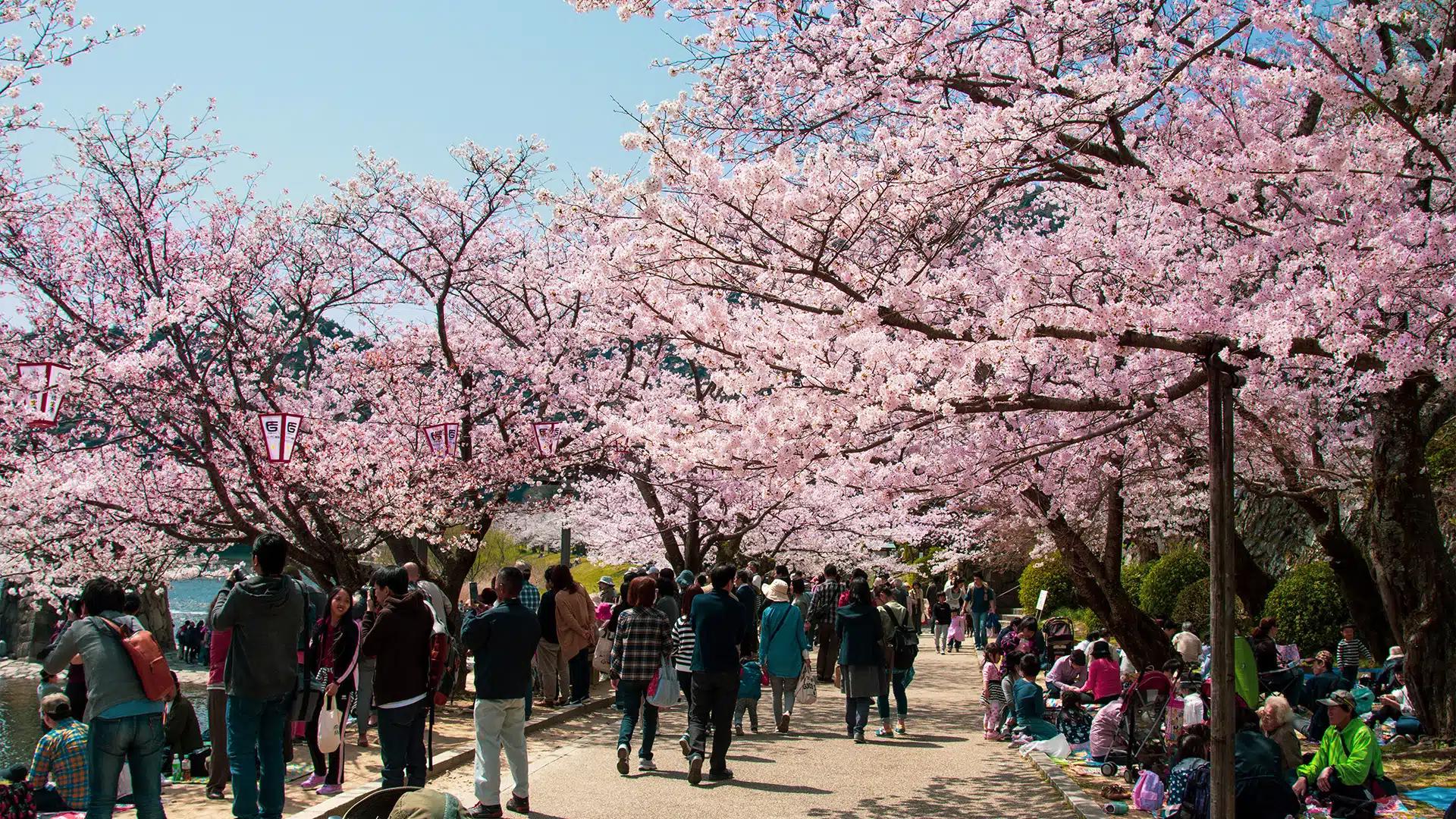 Тур Токио - Йокогама - Камакура, выезд из Минскa