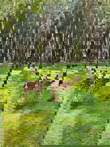 Тур Пинск - Барановичи - Фото 3