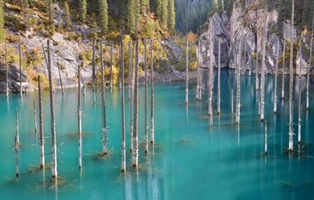 Тур национальный парк Нарочанский - Нарочь - Фото 1