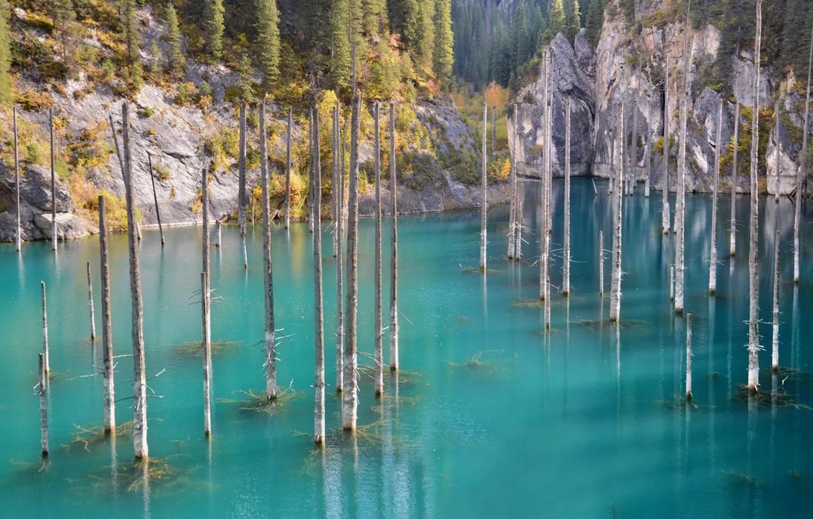 Автобусный тур национальный парк Нарочанский - Нарочь, выезд из Жлобинa, Минскa