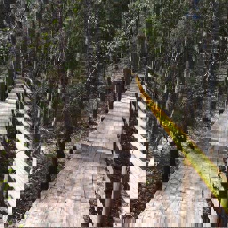 Тур Нарочь - Фото 2