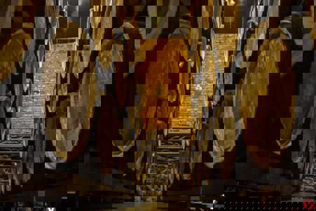 Тур национальный парк Нарочанский - Нарочь - Фото 2